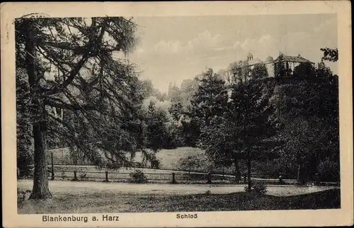 Ak Blankenburg am Harz, Schloss, Park