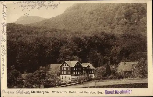 Ak Steinbergen Rinteln in Niedersachsen, Wolbrecht' s Hotel und Pension, Besitzer Hans Storck, Wald