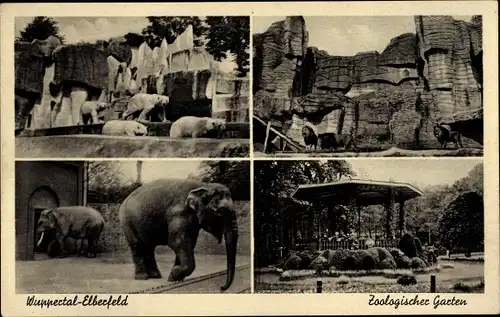 Ak Wuppertal in Nordrhein Westfalen, Zoologischer Garten, Eisbären, Löwen, Elefanten, Pavillon