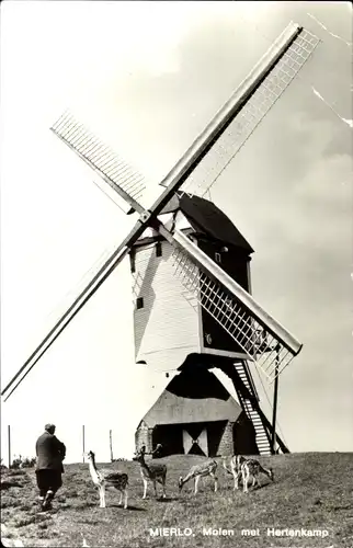 Ak Mierlo Nordbrabant, Molen met Hartekamp, Bockwindmühle, Wildgehege