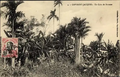 Ak Vũng Tàu Cap Saint Jacques Vietnam, Un Coin de Brousse