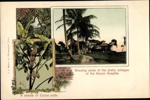 Ak Panama, A sample of Cocoa pods, some pretty cottages of the Ancon Hospital