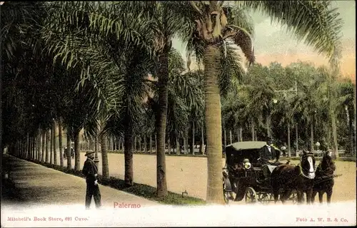 Ak Palermo Buenos Aires Argentinien, Palmenallee, Kutsche