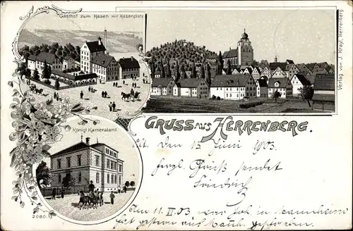 Litho Herrenberg in Württemberg, Gasthof zum Hasen mit Hasenplatz, Kgl. Kameralamt