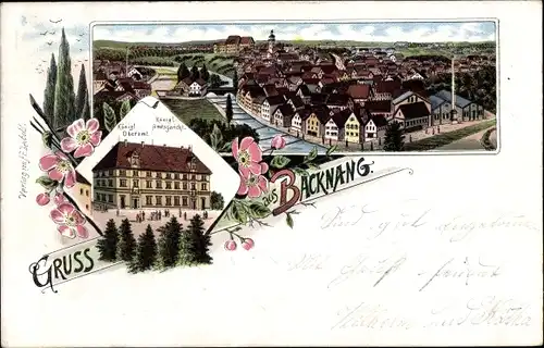 Litho Backnang in Württemberg, Oberamt, Amtsgericht, Blick auf den Ort