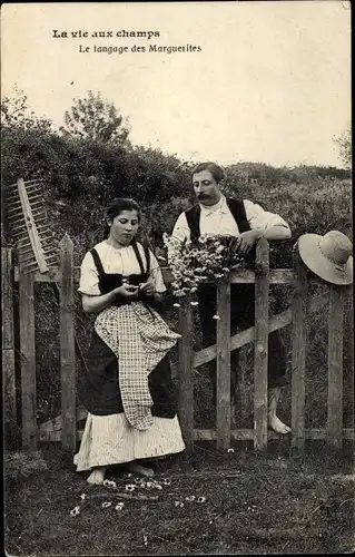 Ak Frankreich, La vie aux champs, Le langage des Marguerites