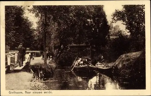 Ak Giethoorn Overijssel Niederlande, Naar nieuwe weide