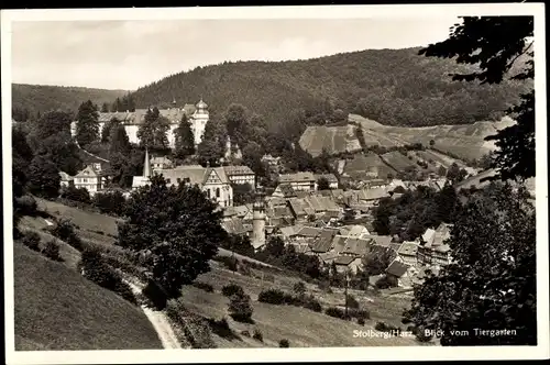 Ak Stolberg im Harz, Blick vom Tiergarten