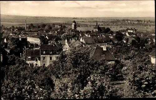 Ak Artern an der Unstrut, Panorama