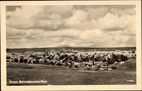 Ak Benneckenstein Oberharz, Panorama