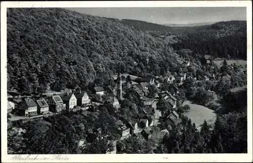 Ak Altenbrak Thale im Harz, Panorama
