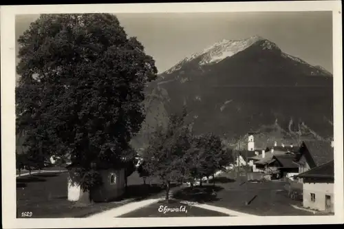 Ak Ehrwald in Tirol, Blick gegen Daniel