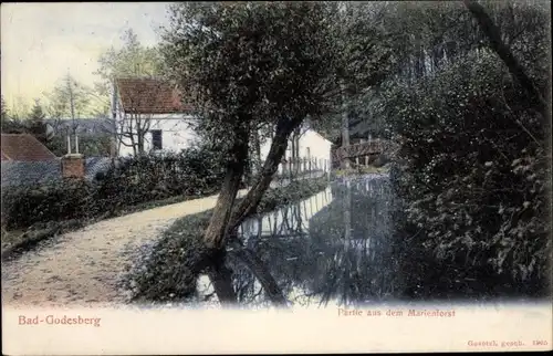 Ak Bad Godesberg Bonn am Rhein, Partie aus dem Marienforst