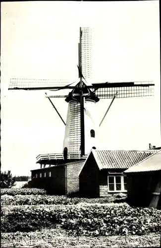 Foto Ak Rilland Reimerswaal Zeeland Niederlande, Molen