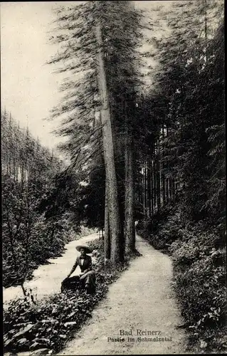 Ak Duszniki Zdrój Bad Reinerz Schlesien, Partie im Schmelzetal