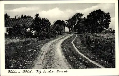 Ak Heide in Holstein, Weg in die Marsch