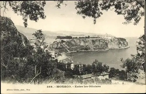 Ak Monaco, Entre les Oliviers