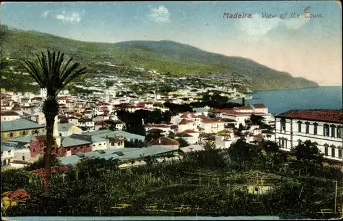 Ak Funchal Madeira Portugal, Panoramablick auf den Ort, Looking East