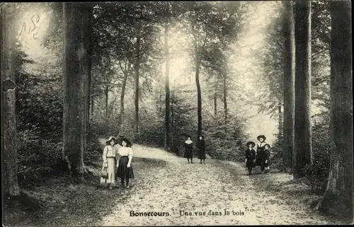 Ak Bon Secours Bonsecours Péruwelz Hennegau, Une vue dans le bois