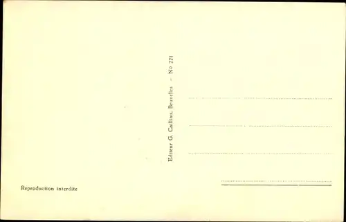 Ak König Albert I. von Belgien, Elisabeth Gabriele in Bayern, Portrait