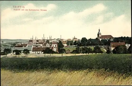 Ak Triptis, Ortsansicht von der Aumaischen Strasse