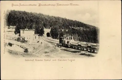 Ak Harz Zahnradbahn Blankenburg-Rübeland-Tanne, Bahnhof Braune Sumpf und Bielstein Tunnel