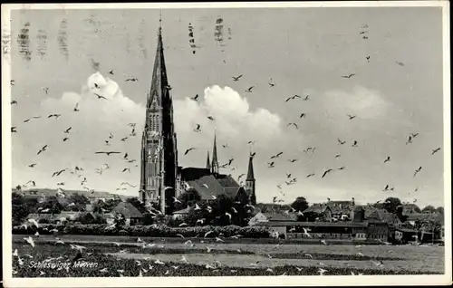Ak Schleswig an der Schlei, Möwen, Kirche