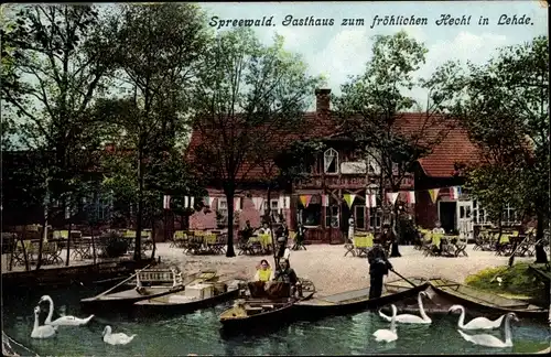 Ak Lehde Lübbenau im Spreewald, Gasthaus zum fröhlichen Hecht, Schwäne
