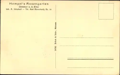 Ak Diesbar Seußlitz Nünchritz an der Elbe, Panorama mit Hempel's Rosengarten