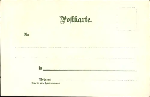 Künstler Litho Pfaff, C., Trechtingshausen am Rhein, Blick auf das Schloss Rheinstein