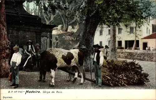 Ak Insel Madeira Portugal, Côrca de Bois, Bauern mit Rind
