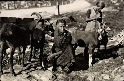 Ak Kanton Uri, An der Klausenstraße, Urnerin beim Melken, Ziegen, Klausenpasshöhe