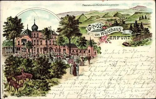 Litho Erfurt in Thüringen, Panorama vom Waldhaus aus gesehen, Rehe