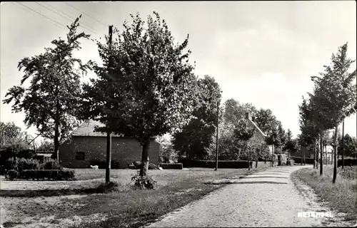 Ak Netersel Nordbrabant, Baumgesäumter Weg