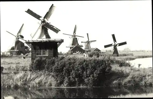 Foto Ak Niederlande, Blick zu den Windmühlen