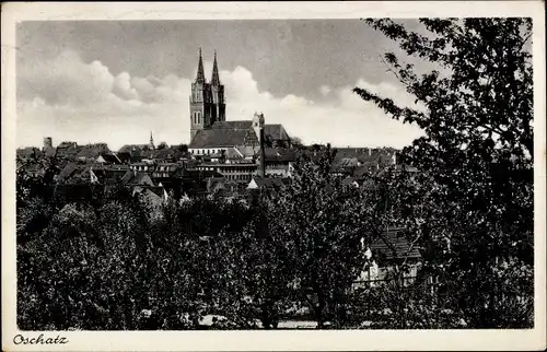 Ak Oschatz in Sachsen, Kirche, Panorama