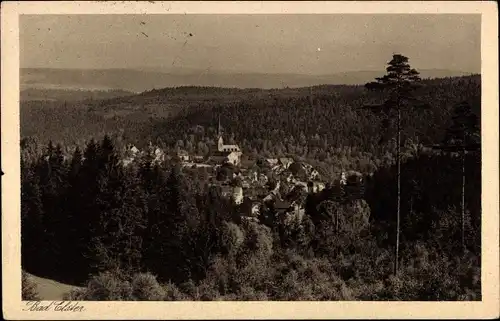 Ak Bad Elster im Vogtland, Panorama