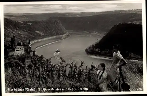 Ak Sankt Goarshausen am Rhein, Loreley, Panorama, Weinanbau