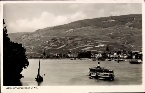 Ak Rüdesheim am Rhein, Panorama, Schiff