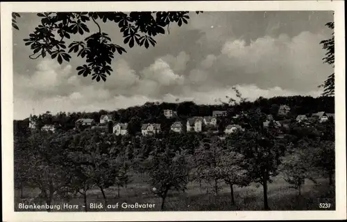 Ak Blankenburg am Harz, Blick auf Großvater