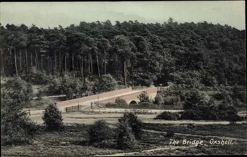 Ak Oxshott Surrey England, The Bridge