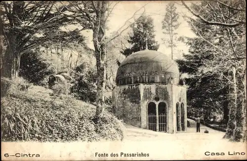 Ak Sintra Cintra Portugal, Fonte dos Passarinhos, Casa Lino