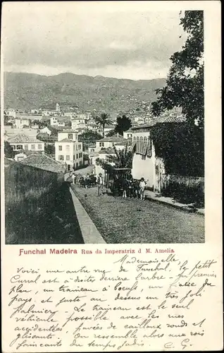 Ak Funchal Insel Madeira Portugal, Rua da Imperatriz d. M. Amelia