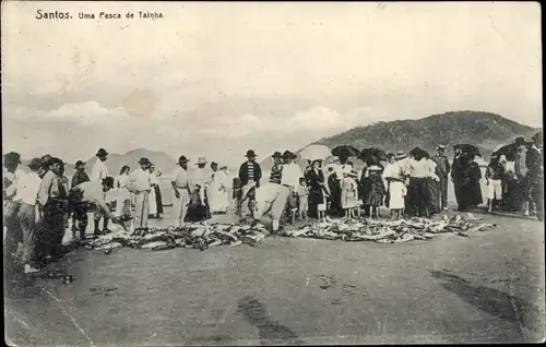 Ak Santos Brasilien, Uma Pesca de Tainha