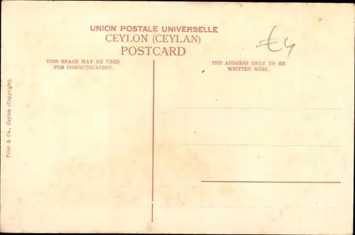 Ak Ceylon, Ginrickshas, Rikscha Fahrer