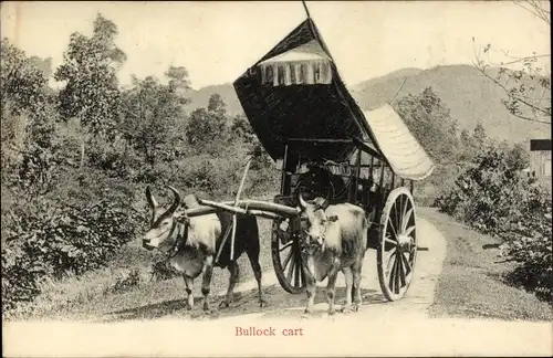 Ak Straits Settlements, Bullock cart, Rinderkarren