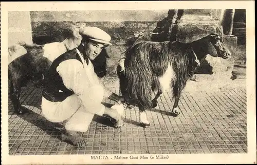 Ak Malta, Maltese Goat Man, Milker, Ziegen