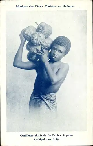 Ak Fidschi, Mission des Peres Maristes, Cueillette du fruit de l'arbre a pain