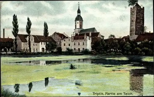 Ak Triptis in Thüringen, Partie am Teich, Turm, Kirche