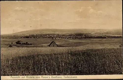 Ak Todenmann Rinteln in Niedersachsen, Blick von Reeses Gasthaus